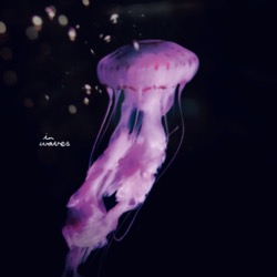 South Atoms — El Mundo De Las Cosas