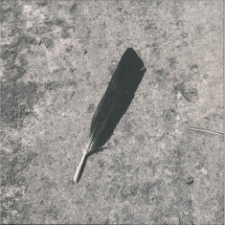Function — Green Ep
