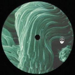 Anthony Linell — Sheltering Skies