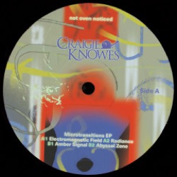 Not Even Noticed — Microtransitions Ep