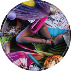 Radio Slave — Wild Life (Remixes)