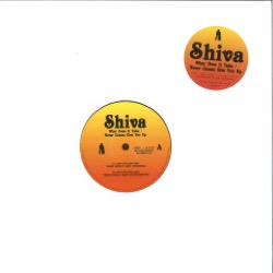 Shiva — What Does It Take / Never Gonna Give You Up