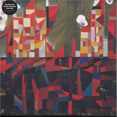 Wata Igarashi — Agartha LP