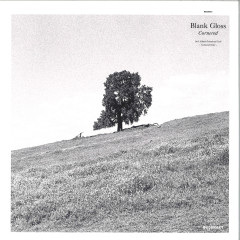 Blank Gloss — Cornered