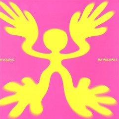 Q Words , Needle , F*O*X — NON VOLEVO MA VOLAVO 2