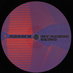 Adam X — My Acidic Being