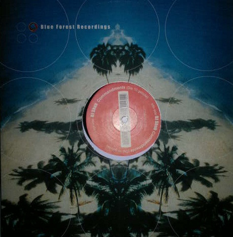 DJ Shah — Commandments (Die 10 Gebote)