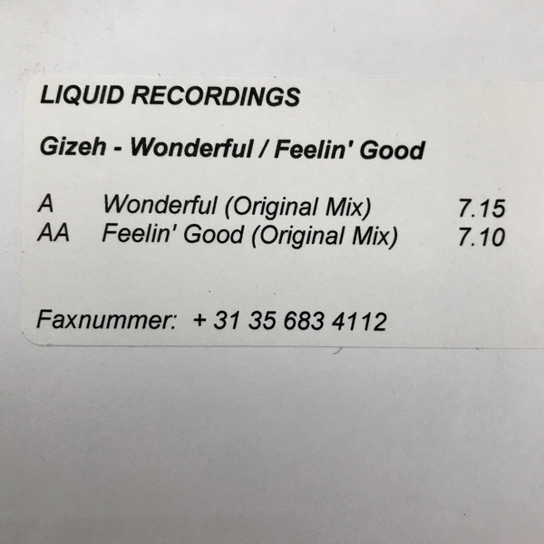 Gizeh — Wonderful / Feelin' Good