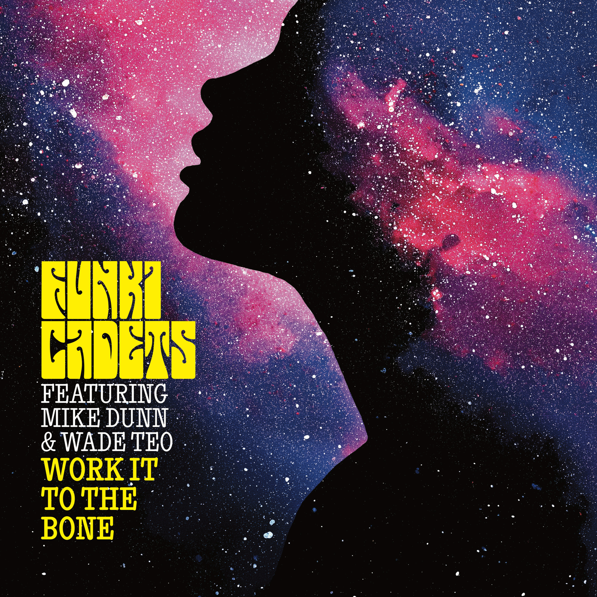 Funki Cadets Ft. Mike Dunn & Wade Teo — Work It To The Bone