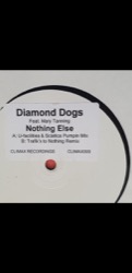 Diamond Dogs Feat. Mary Tanning — Nothing Else