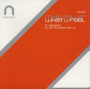 Mike Miller — What U Feel