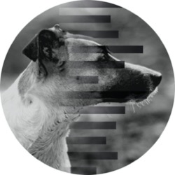 Jackson Ryland — Most Necessary Ep