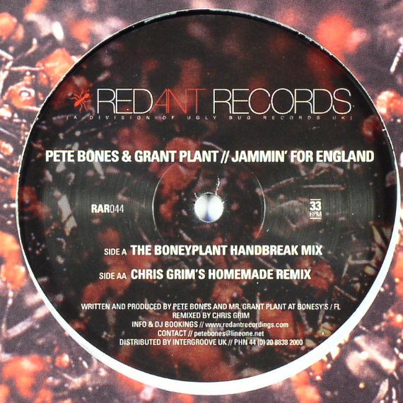 Pete Bones & Grant Plant — Jammin' For England