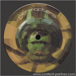 Dermaptera — Dermaptera 2