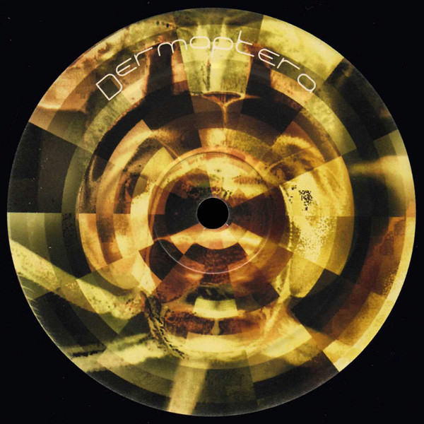 Dermaptera — Dermaptera 4