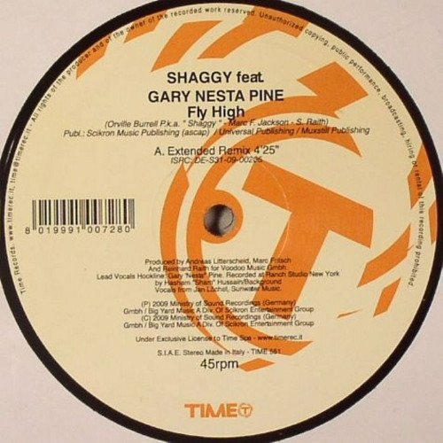 Shaggy Feat. Gary Nesta Pine — Fly High