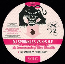 DJ Sprinkles Vs K-S.H.E — A Short Introduction To The House Sounds Of Terre Thaemlitz