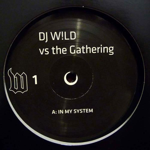DJ W!LD vs The Gathering — In My System