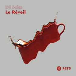 DC Salas — Le Reveil Ep
