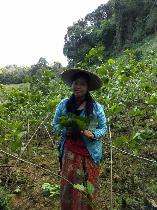 IMG_20171116_160552362