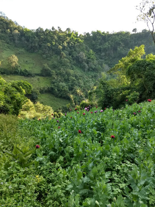 IMG_20171116_161650757_HDR