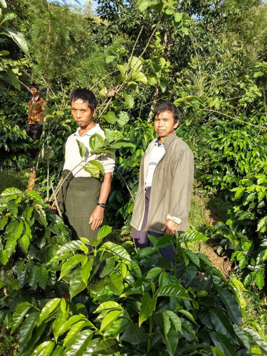 IMG_20171116_162529224_HDR