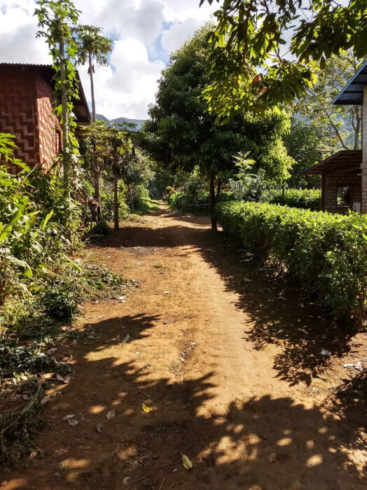 IMG_20171117_101408994_HDR