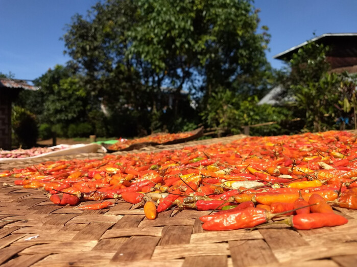 IMG_20171117_101812553