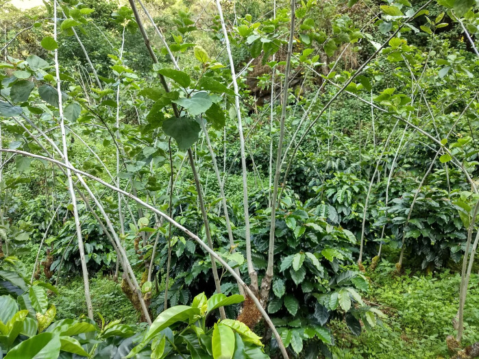 IMG_20171116_161829591_HDR