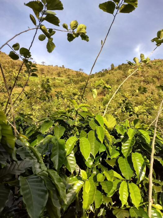 IMG_20171116_163058773_HDR