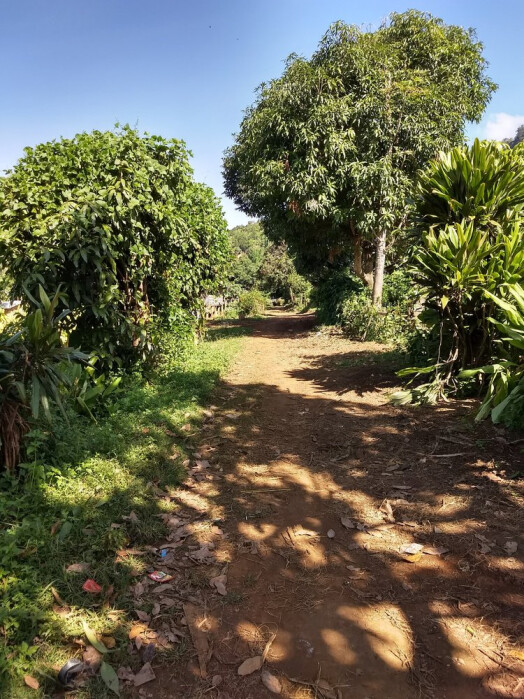 IMG_20171117_101411973_HDR