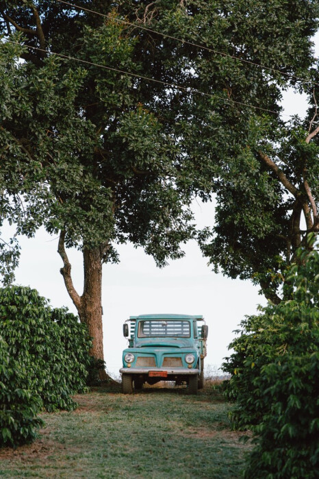 brazil origin trip Dick W-7289