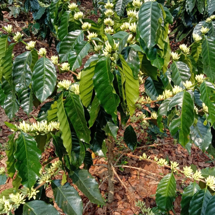 WhatsApp Image 2022-06-15 at 11.21.48 AM  1