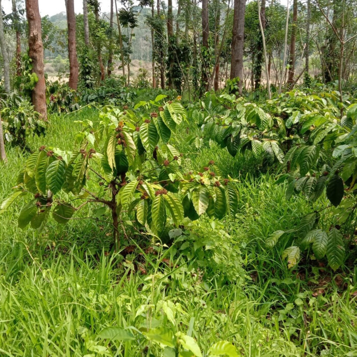 WhatsApp Image 2022-06-15 at 11.21.47 AM  2