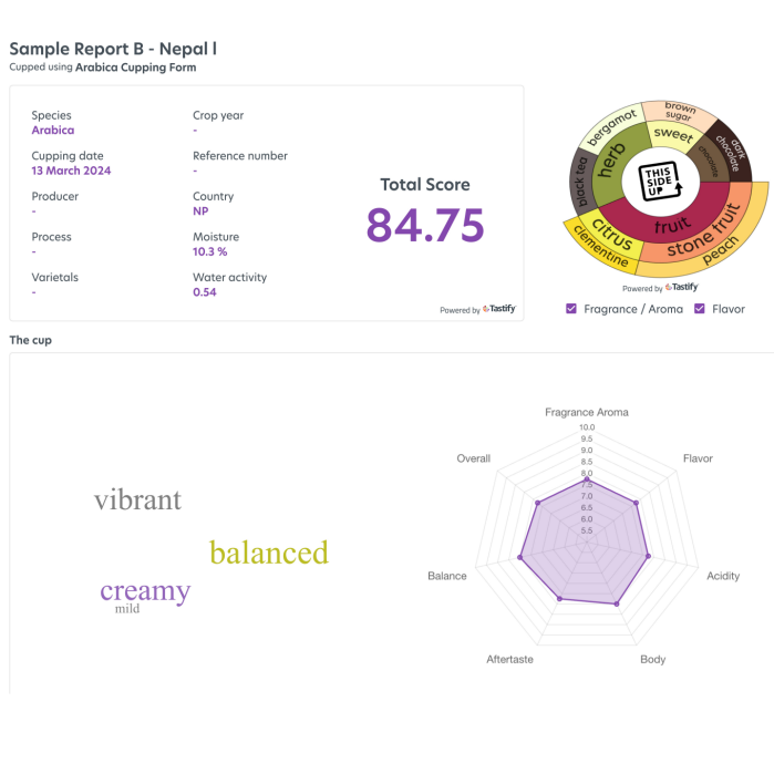 Nepal 80 Days cuppung