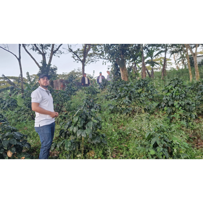 Schermafbeelding 2025-09-09 202812