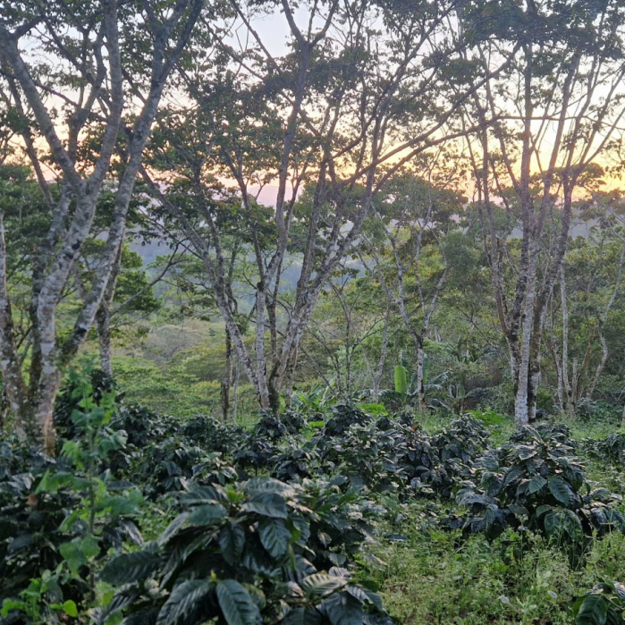 Schermafbeelding 2025-09-09 202826