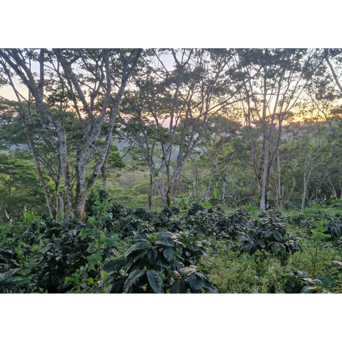 Schermafbeelding 2025-09-09 202826