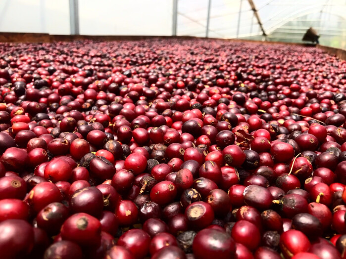 120585301_2537332646557686_4103582028145524952_n