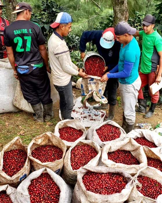 312752306_544682894329989_5785355042272732674_n