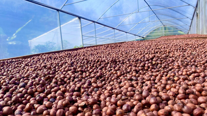 322011584_1176612159916832_7526103533016223528_n