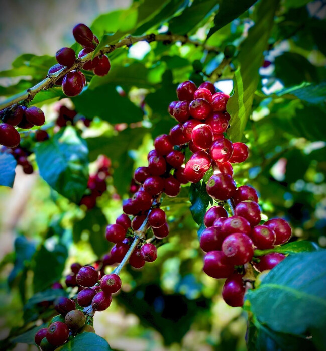 322953008_552619426755484_8765764741036428350_n