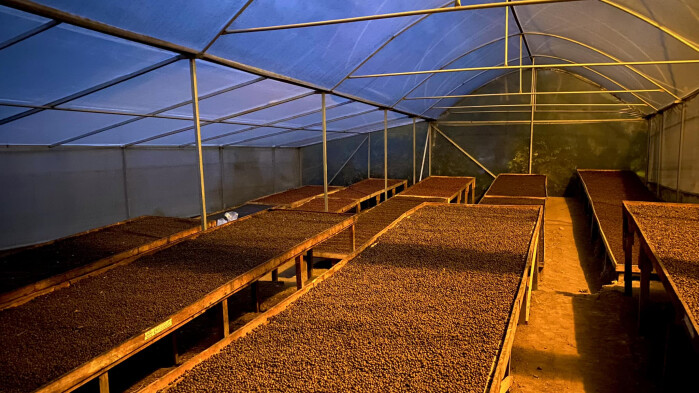 324406406_5241464769289044_6980704774105507512_n