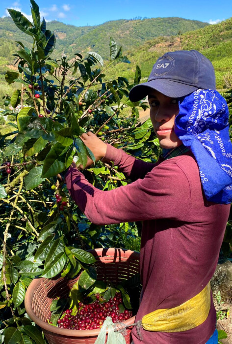 274859166_2909663662657914_7180098810475534478_n