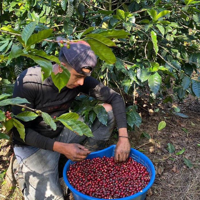 315635708_564478979017047_3850094329242583676_n