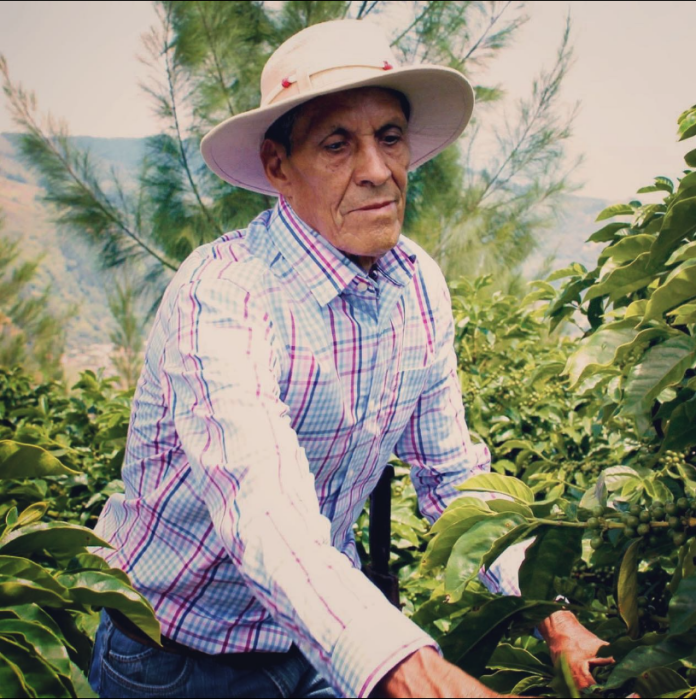 Screenshot 2022-09-28 at 13.59.08