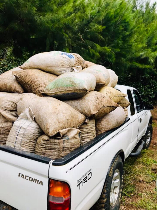 57012510_2129322810692007_1437909210514849792_n