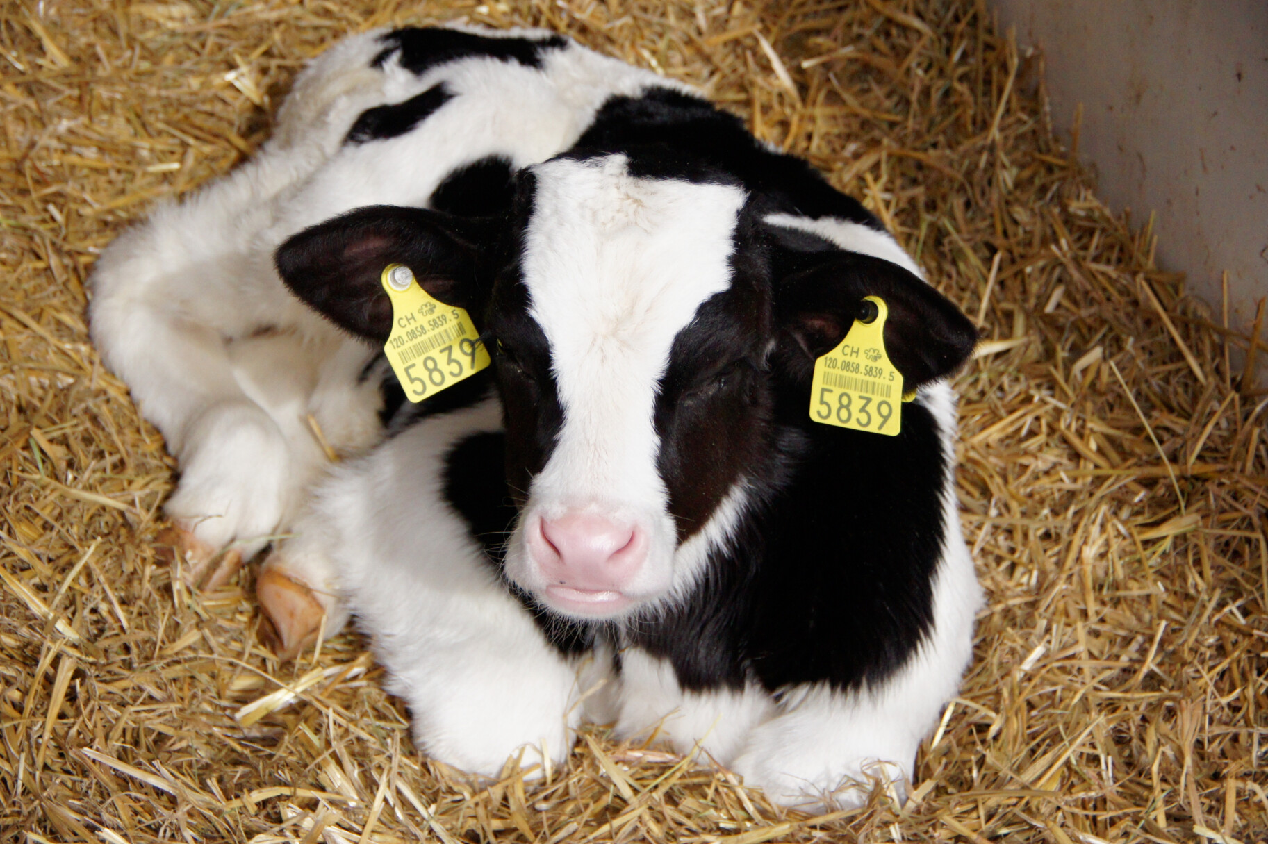 dc9fe469d8d7488d2562df63f2af44f7