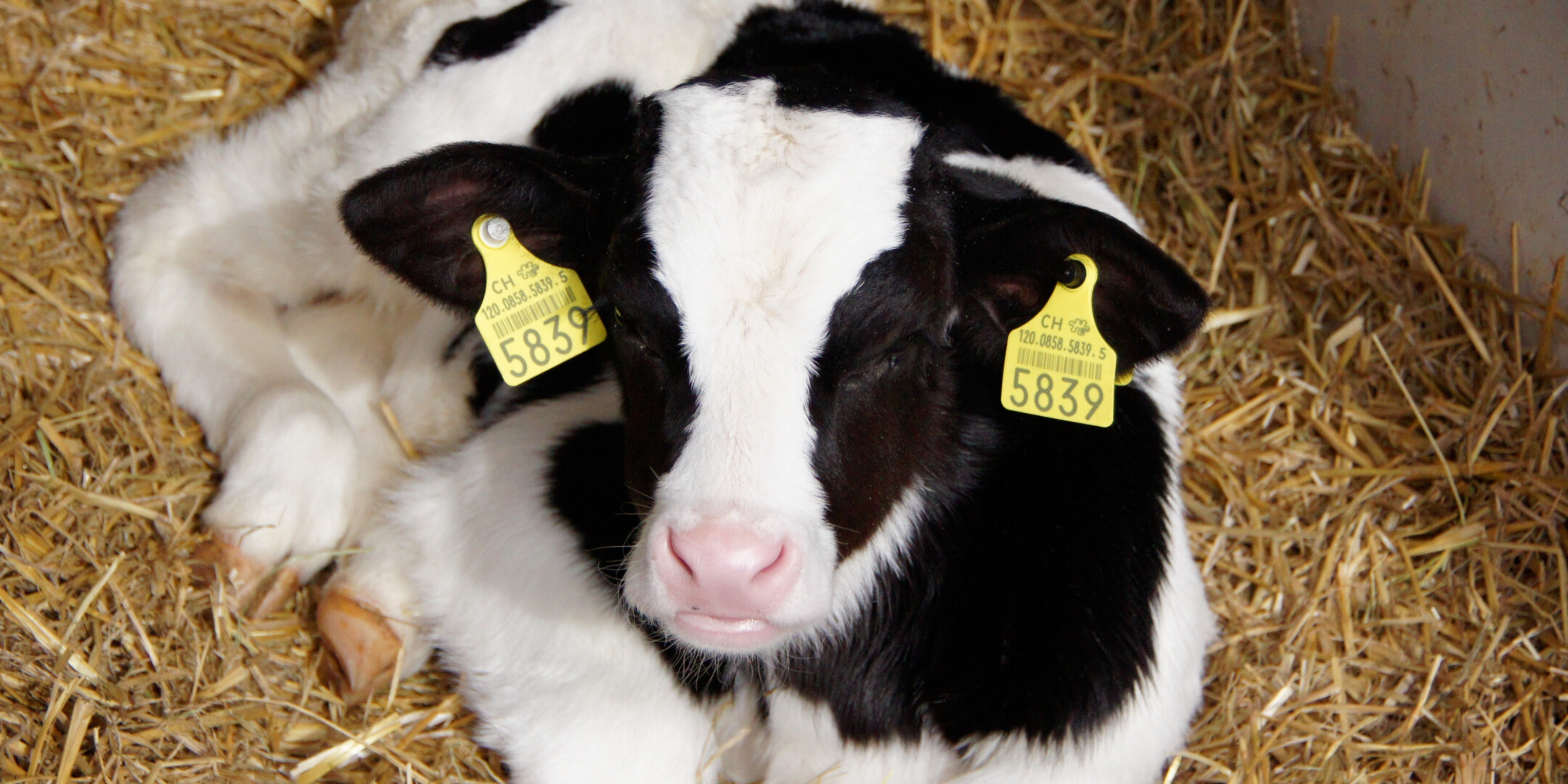 dc9fe469d8d7488d2562df63f2af44f7