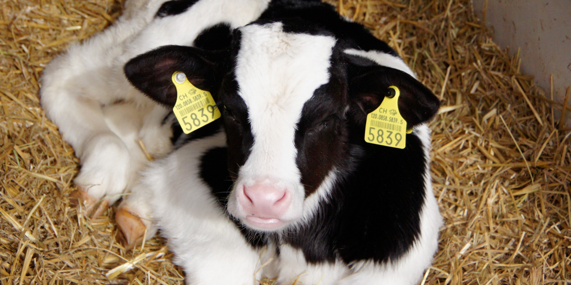 dc9fe469d8d7488d2562df63f2af44f7